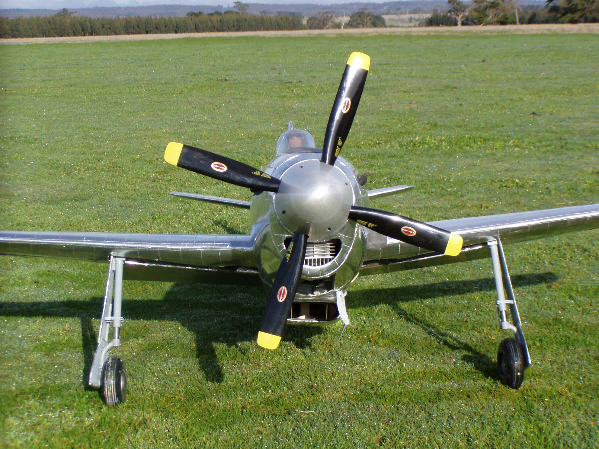 CA-15 Model Plane Custom Spinner